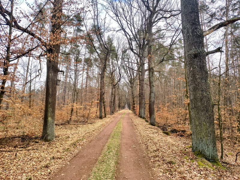 IMG_20260322_101334425_HDR