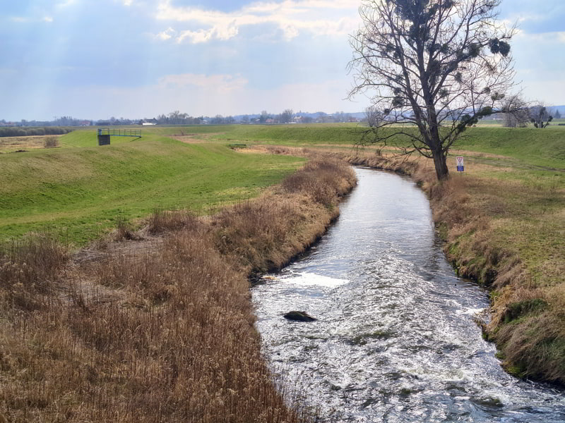 IMG_20260322_135655098_HDR