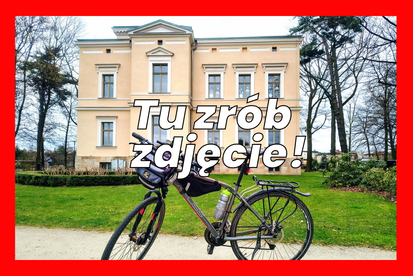 tzz leszczynska