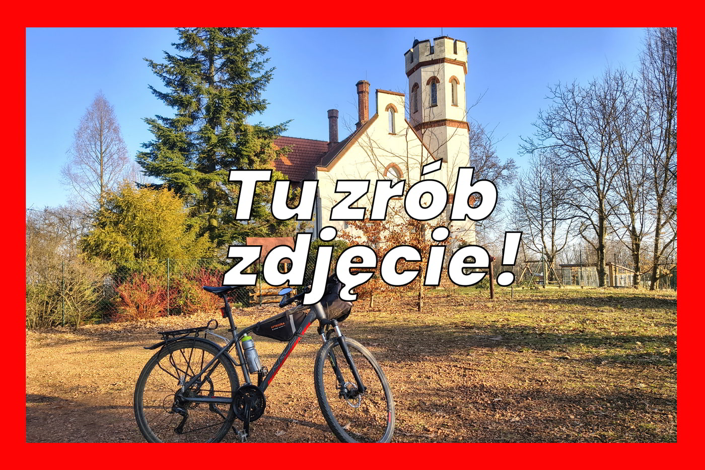 tzz--winna