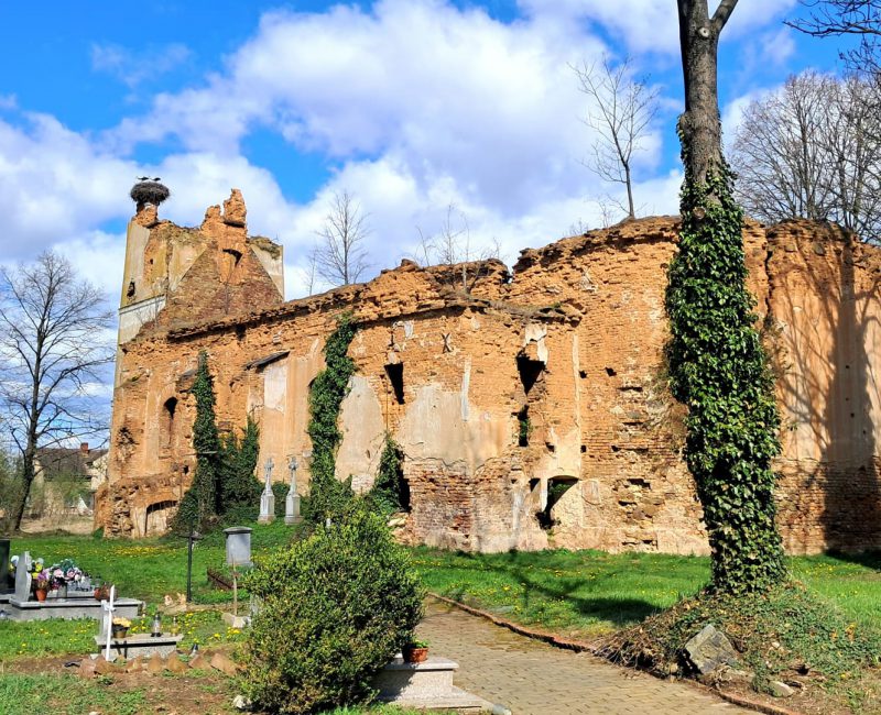 1c ruiny kościoła Wojnowice