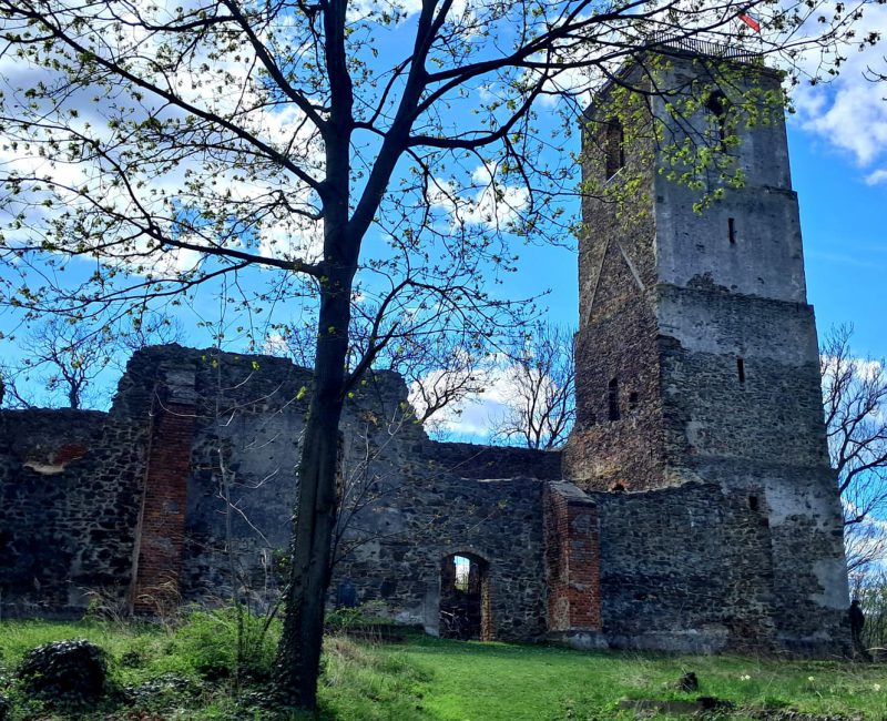 2 ruiny kościoła Włodzienin