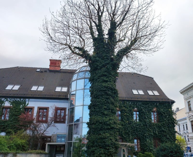 Bielsko_2025_005