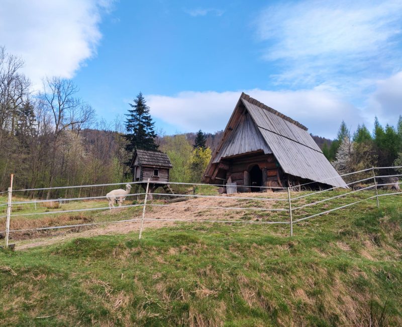 Bielsko_2025_042