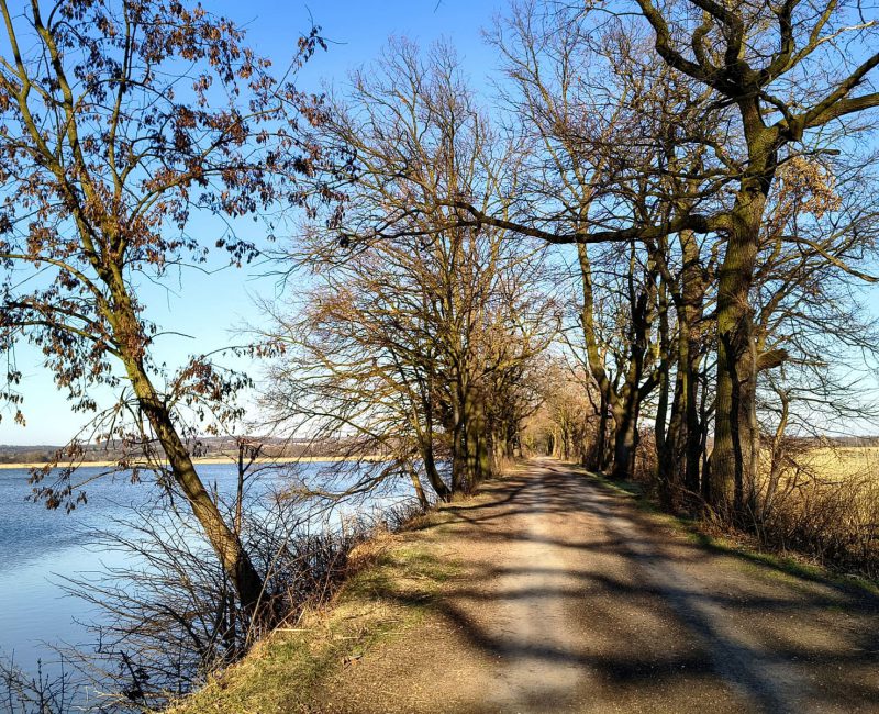 IMG_20250320_161027296_HDR