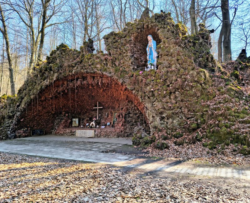 IMG_20250321_124845825_HDR_AE