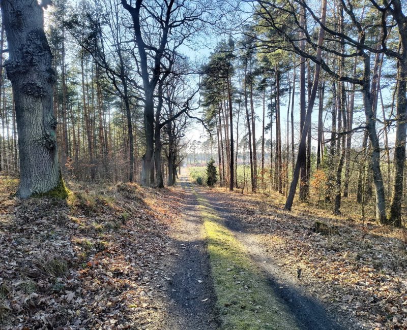 IMG_20260309_145457526_HDR