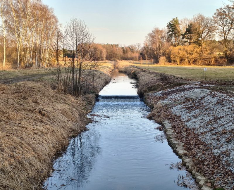 IMG_20260309_164502002_HDR