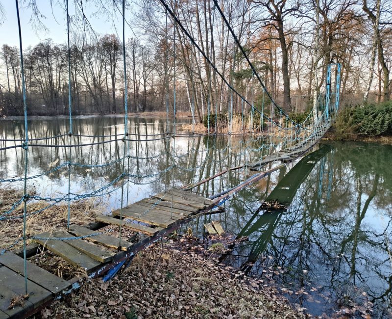 IMG_20260309_171655502_HDR