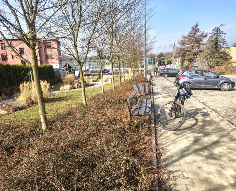 IMG_20260313_094951721_HDR