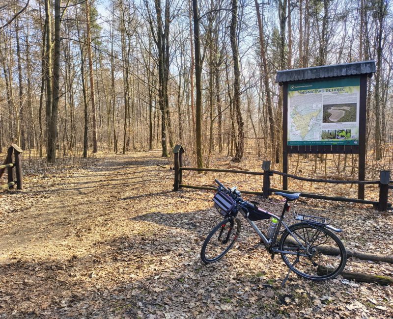 IMG_20260313_104557976_HDR