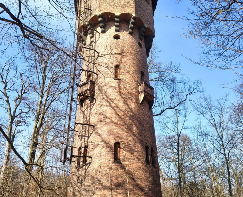 IMG_20260313_111825616_HDR