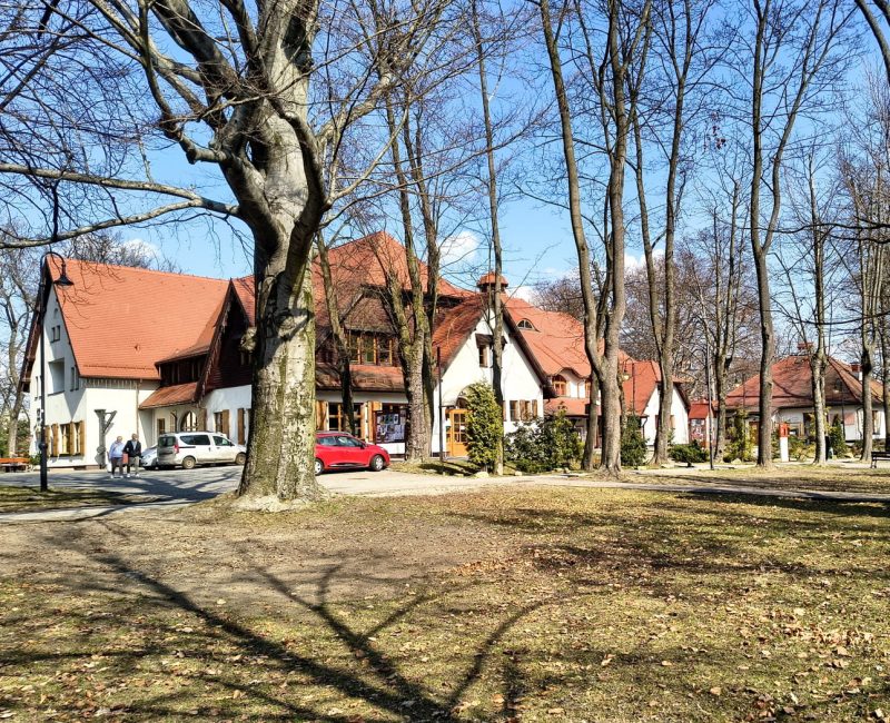 IMG_20260313_114207035_HDR