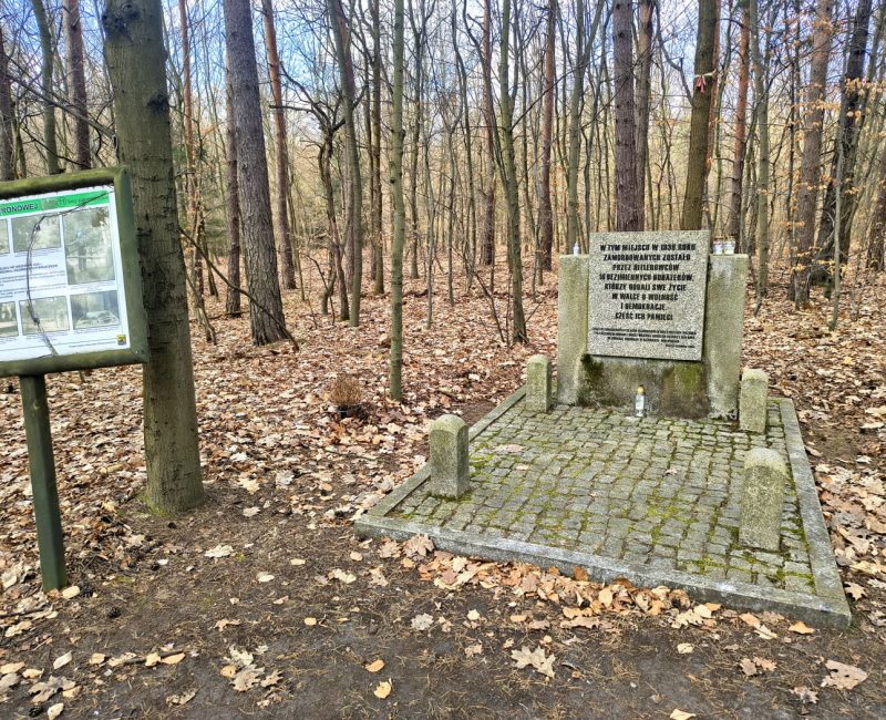 IMG_20260313_141157100_HDR