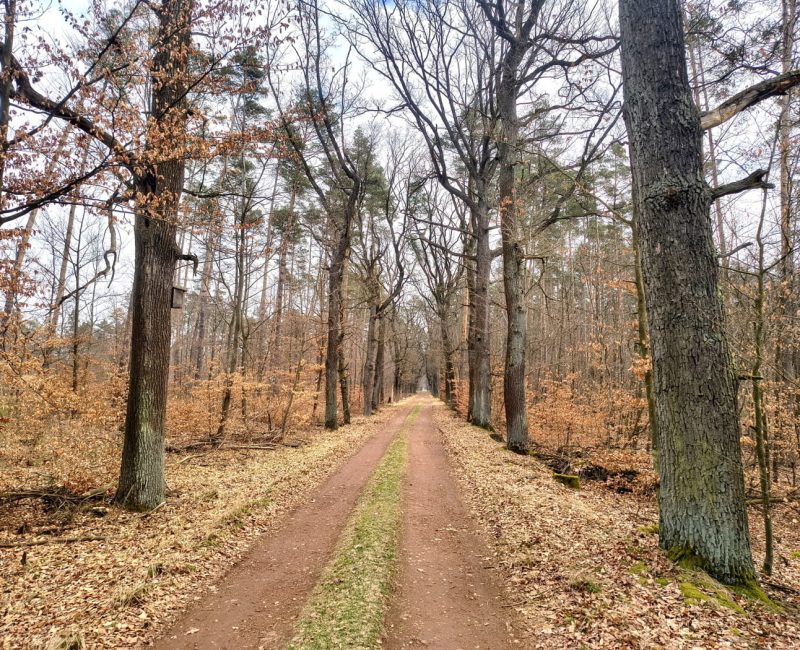 IMG_20260322_101334425_HDR