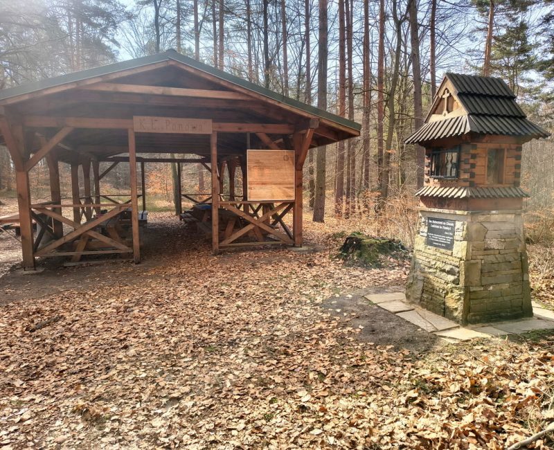 IMG_20260322_102419497_HDR