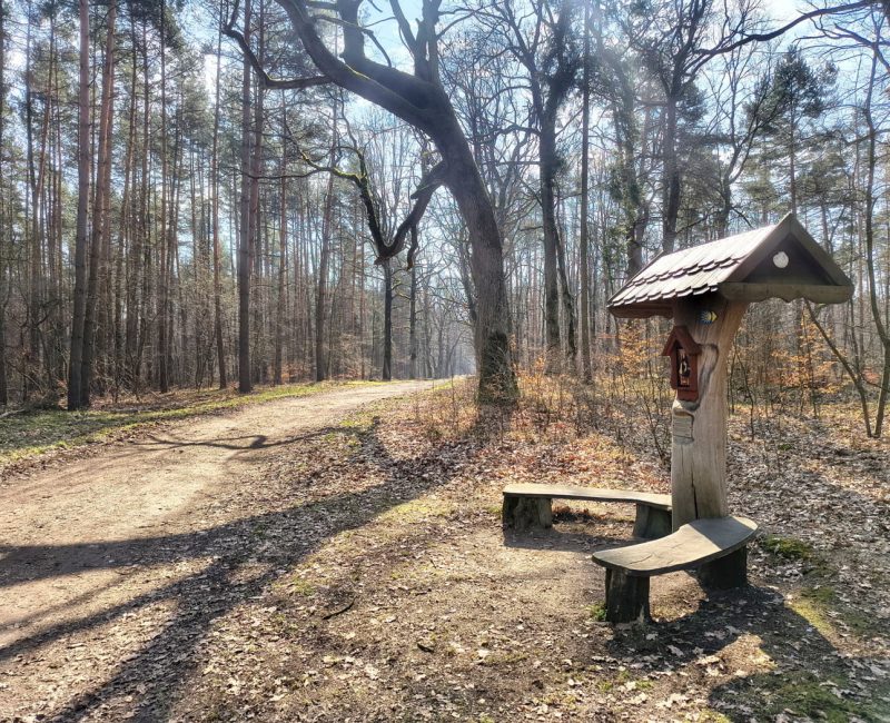 IMG_20260322_104514067_HDR