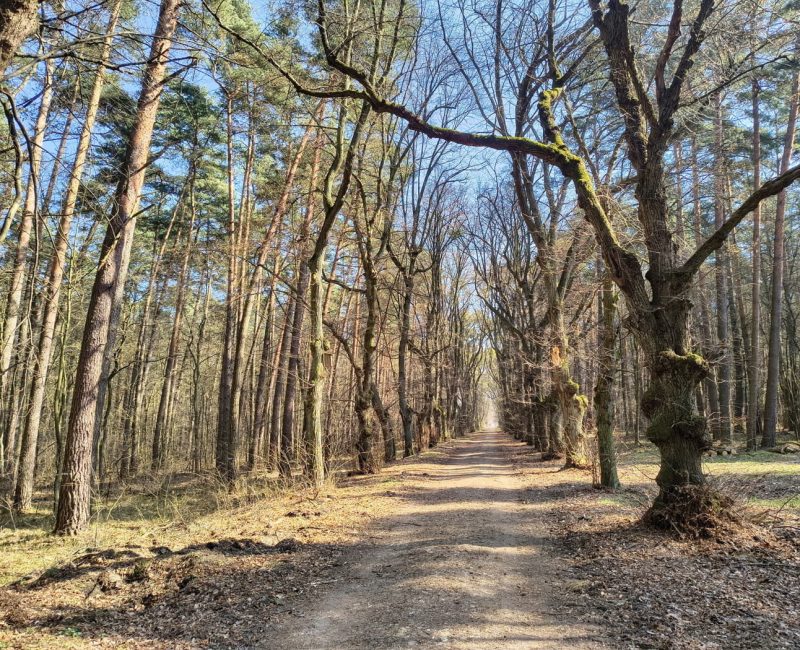 IMG_20260322_105351872_HDR