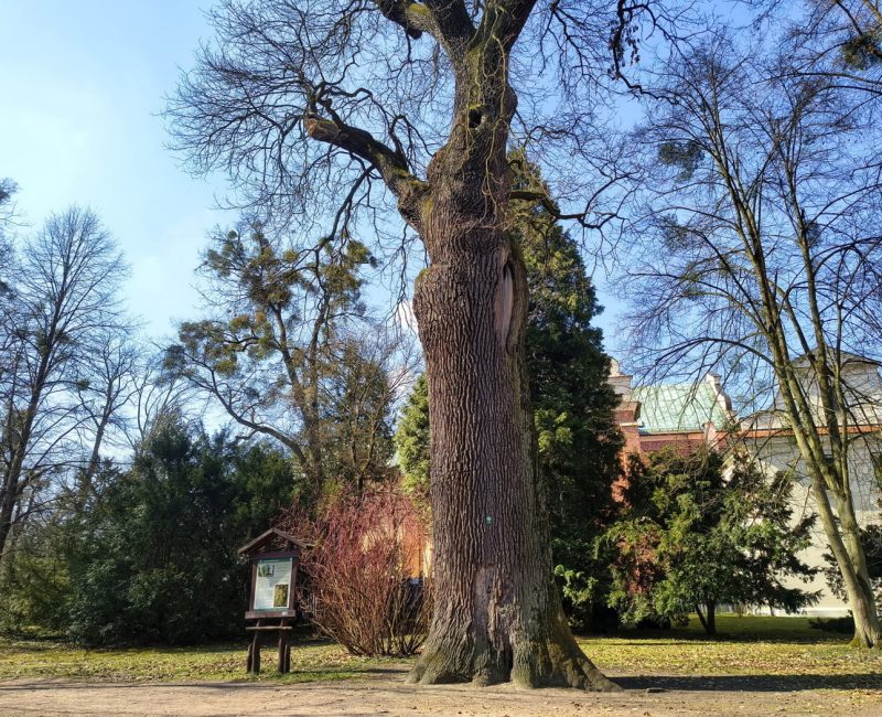 IMG_20260322_111407958_HDR