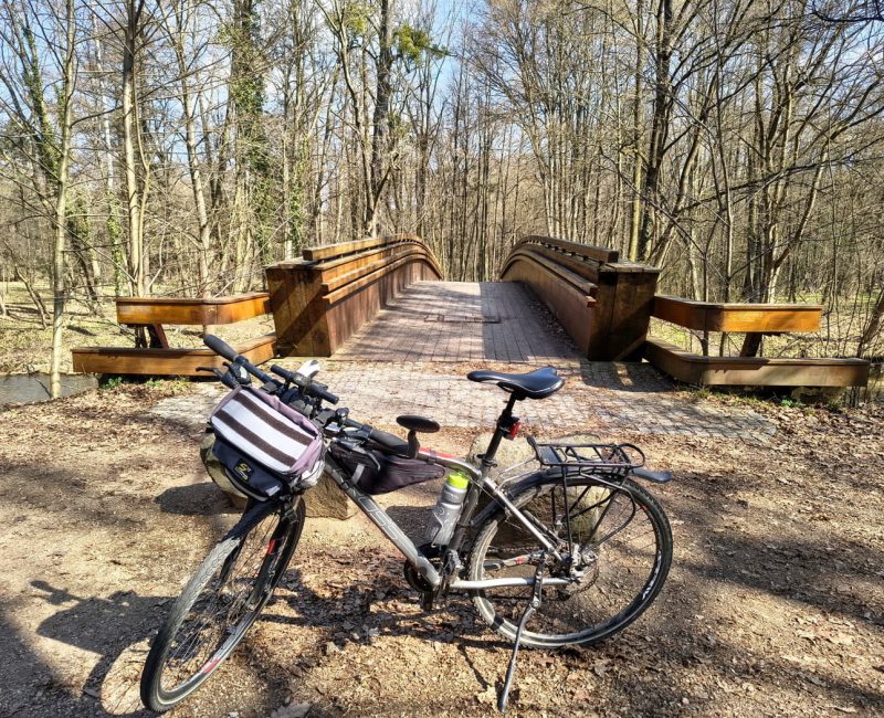 IMG_20260322_112428412_HDR