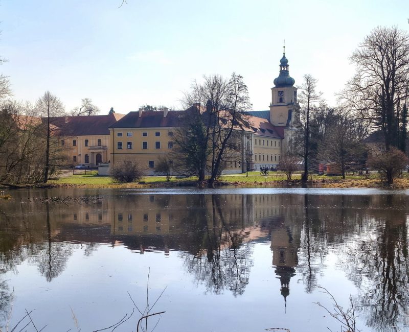 IMG_20260322_112553136_HDR