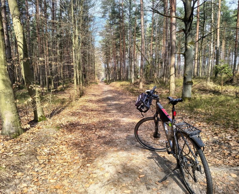 IMG_20260322_114009347_HDR