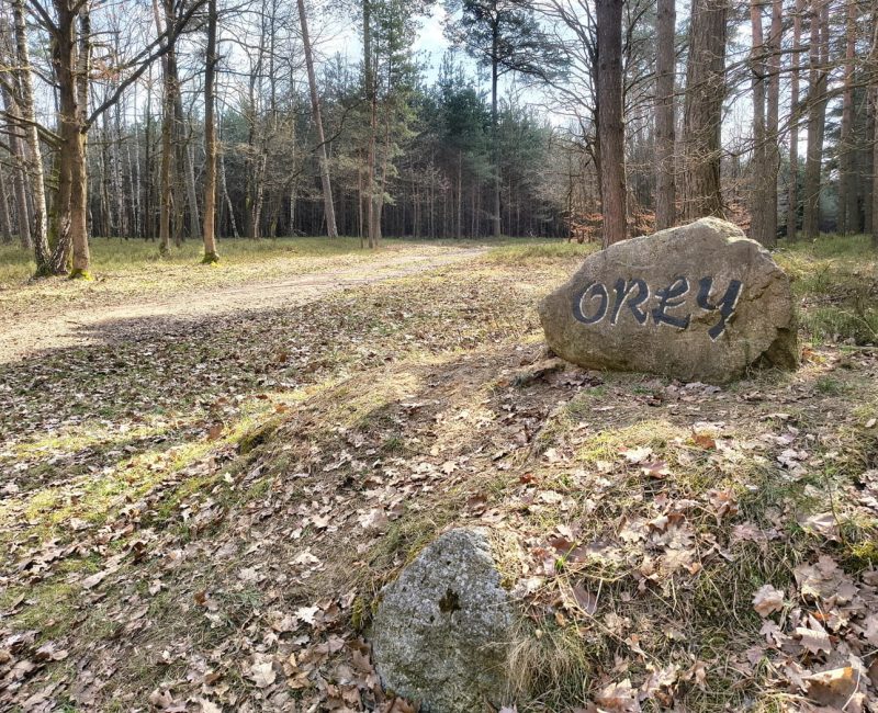 IMG_20260322_120142041_HDR