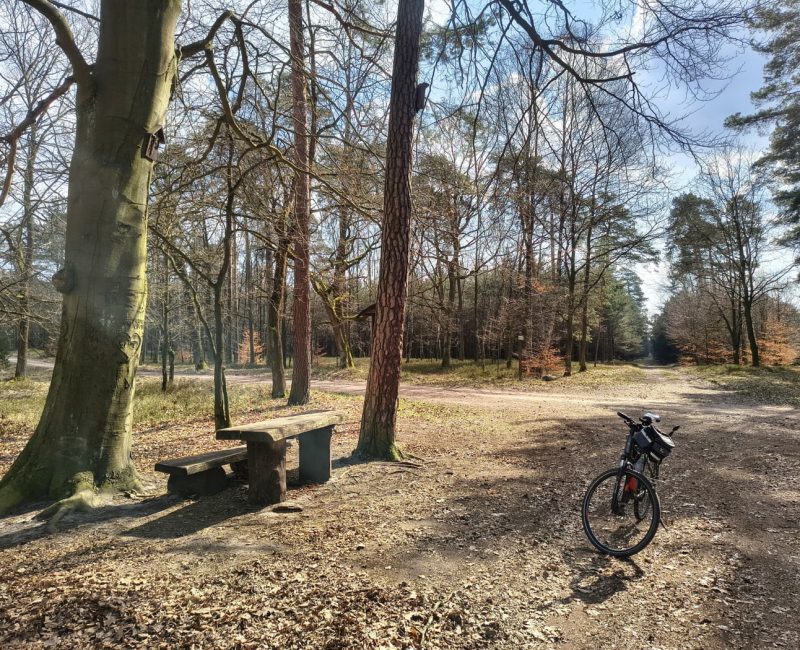 IMG_20260322_120250541_HDR