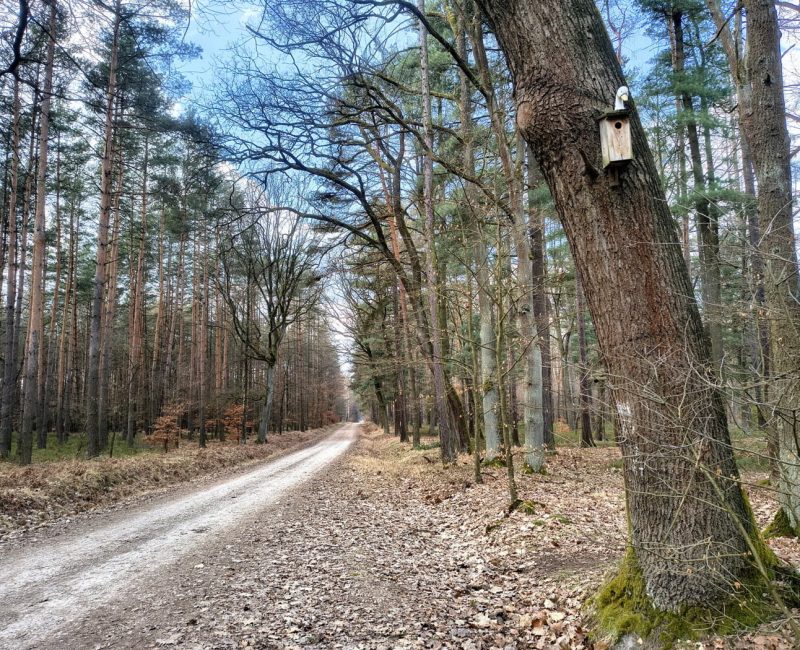 IMG_20260322_120413427_HDR