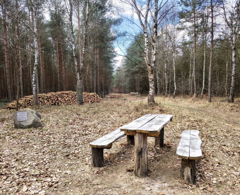 IMG_20260322_121433965_HDR