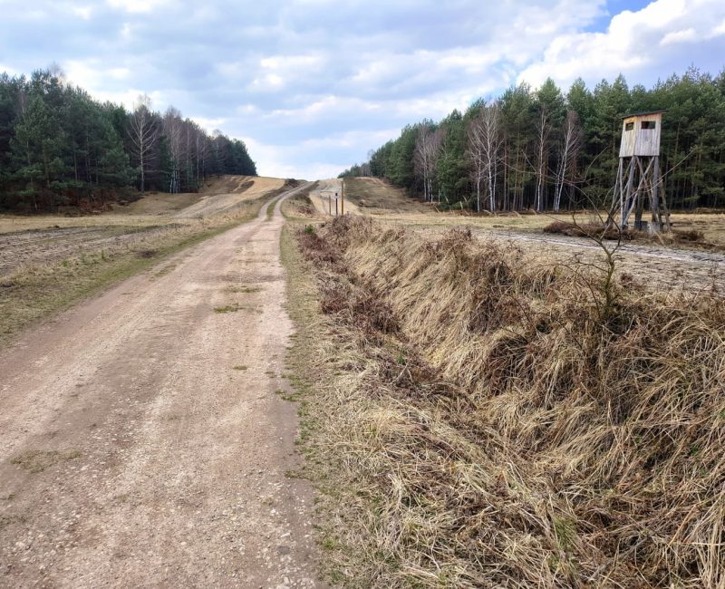 IMG_20260322_122905640_HDR