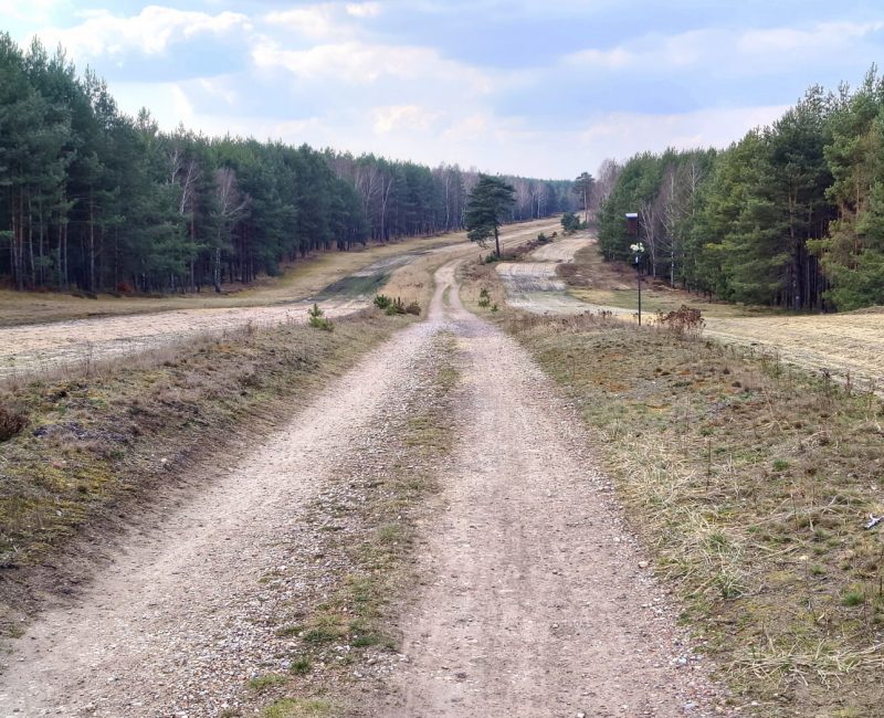 IMG_20260322_123029470_HDR