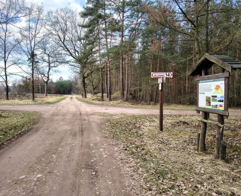 IMG_20260322_124411943_HDR