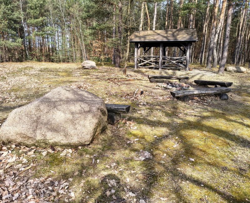 IMG_20260322_125004841_HDR