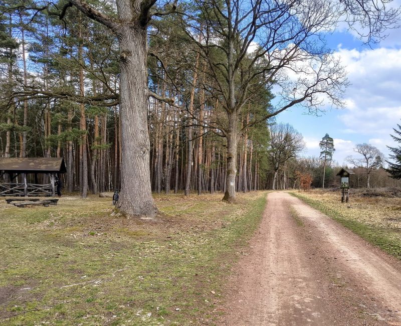 IMG_20260322_125251974_HDR