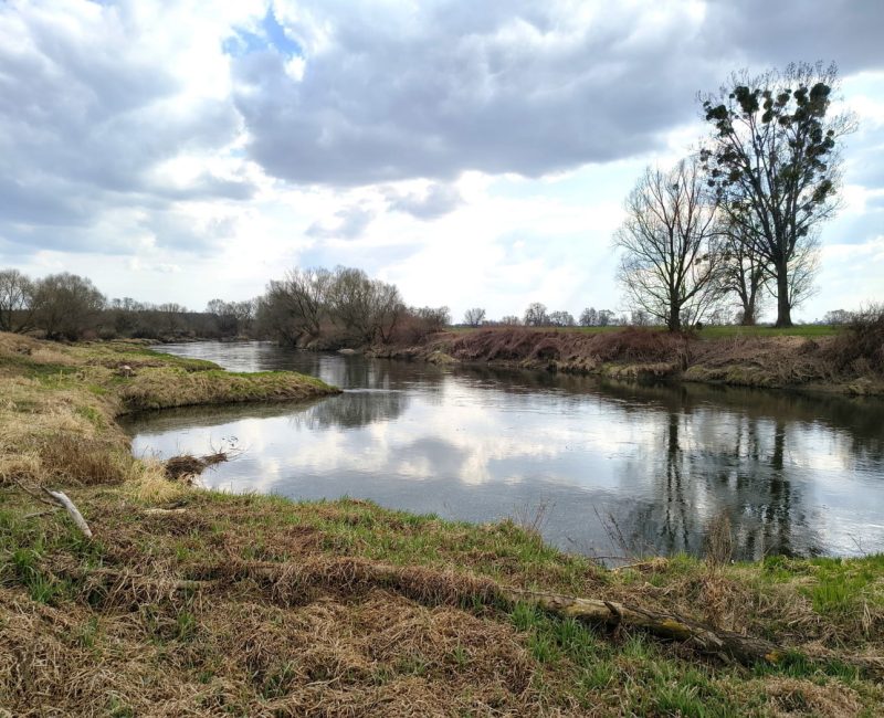 IMG_20260322_133219165_HDR