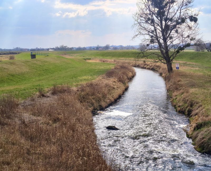 IMG_20260322_135655098_HDR