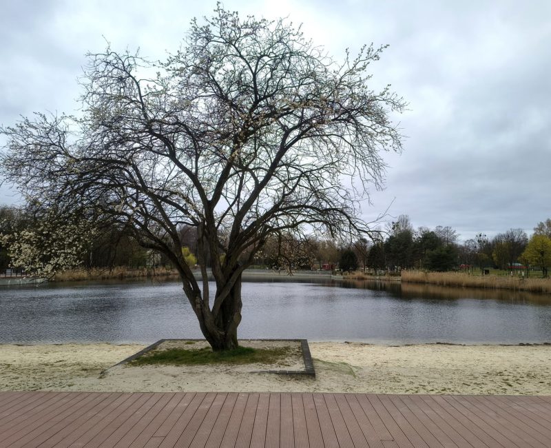 IMG_20260408_124254857_HDR