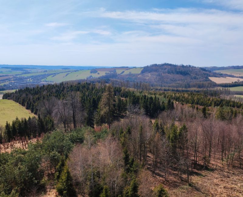 SilesiankaCZ_2025_014