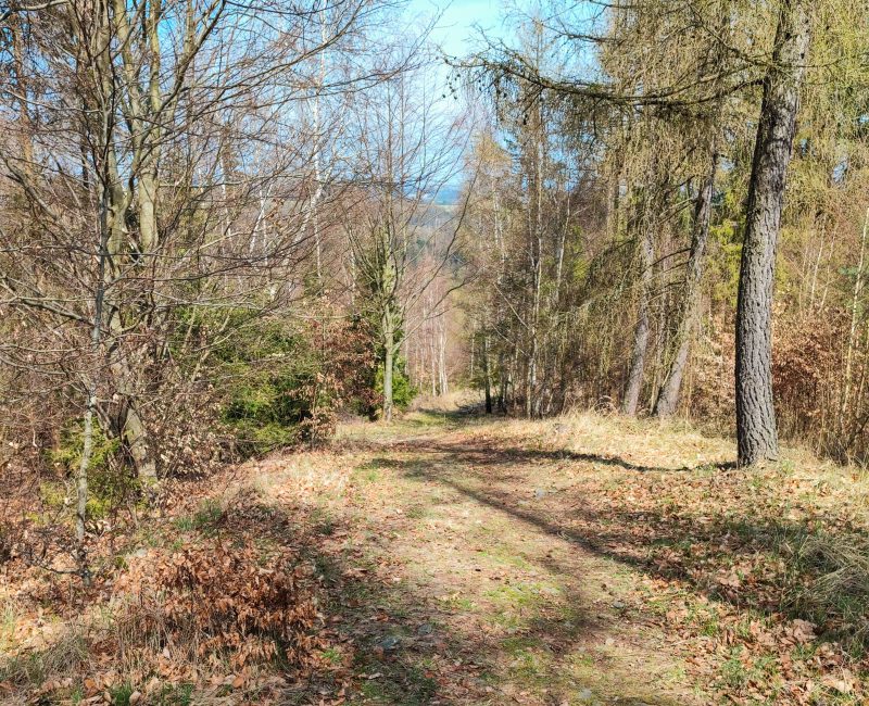 SilesiankaCZ_2025_019