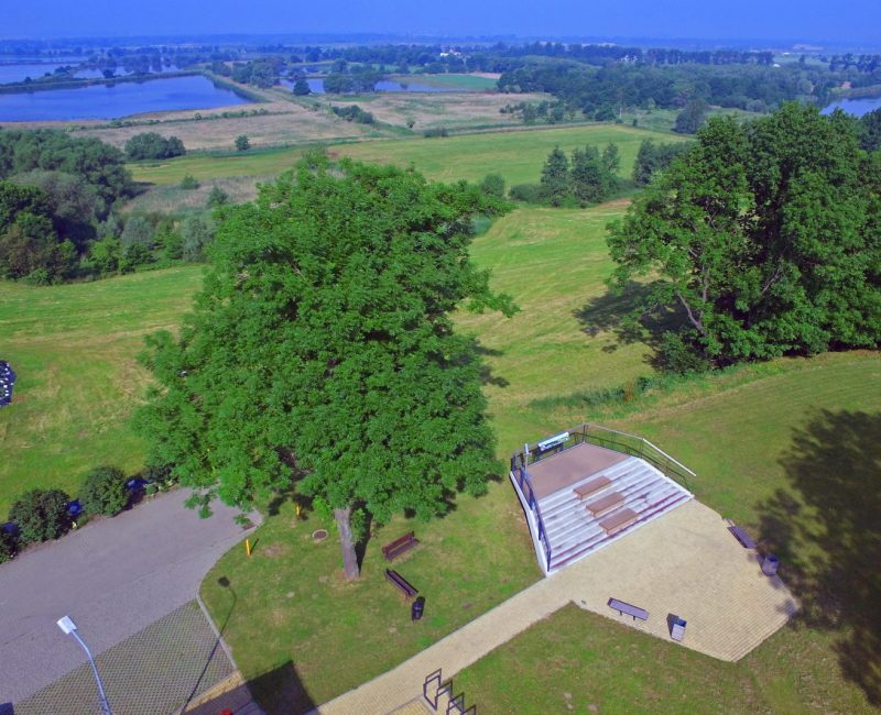 grabówka6